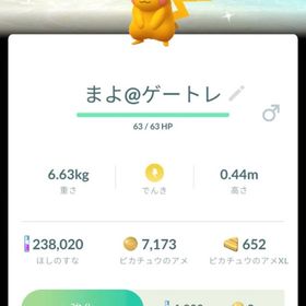 【🔥沖縄限定タスク産🔥】🏖沖縄背景色違いピカチュウトレード🍀 | ポケモンGOのアカウントデータ、RMTの販売・買取一覧