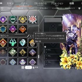 s24.s25プレデター、ラプターズクロー、カタール等のスパレジェ多数所持アカウント | APEX Legendsのアカウントデータ、RMTの販売・買取一覧