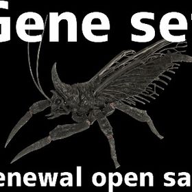 RARE SUPPORT リニューアルオープンセール | ARK Survival Evolvedのアカウントデータ、RMTの販売・買取一覧