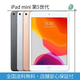 iPad mini 2019 (第5世代) 256GB 新品 25,000円 中古 | ネット最安値の