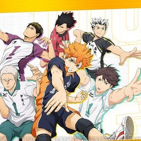 ダイヤ126000-150000個+ランダムＳキャラ51-55体 | ハイドリ(ハイキュー!! TOUCH THE DREAM)のアカウントデータ、RMTの販売・買取一覧