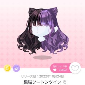 黒猫ツートンツイン 2点 | ポケコロツイン(ポケツイ)のアカウントデータ、RMTの販売・買取一覧