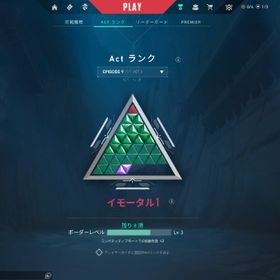 【引退垢】メール譲渡可能 芋垢、スキン多数 | VALORANT(ヴァロラント)のアカウントデータ、RMTの販売・買取一覧