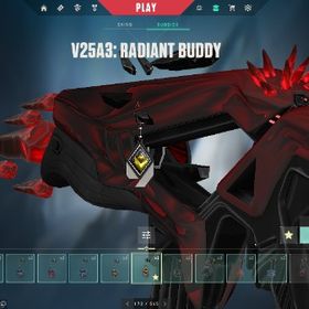 v25 act2 radiant 総課金額15万越え メアパス変更可ファーストオーナー取り返しなし | VALORANT(ヴァロラント)のアカウントデータ、RMTの販売・買取一覧