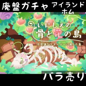 バラ売り 《 いにしえの骨と花の島 》 | リヴリーアイランドのアイテム、RMTの販売・買取一覧
