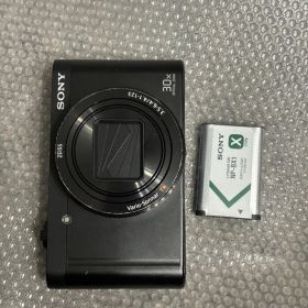 SONY コンパクトデジタルカメラ DSC-WX500 10281