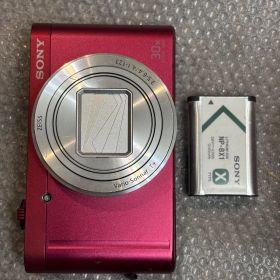 SONY DSC-WX500 10272
