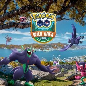 実績作り11/8.9ワイルドエリア長崎レイド代行10戦500円〜 | ポケモンGOの代行、RMTの販売・買取一覧