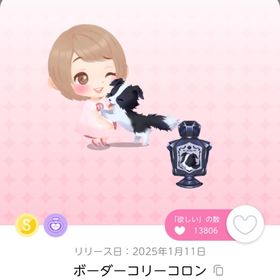 ボーダーコリーコロン 在庫ラスト | ポケコロツイン(ポケツイ)のアカウントデータ、RMTの販売・買取一覧