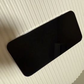 iPhone 13 Pro Max 256GB シルバー