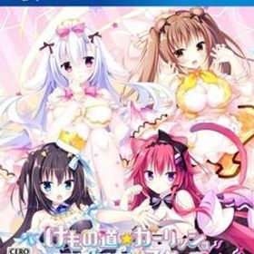 中古PS4ソフト けもの道☆ガーリッシュスクエア [通常版]
