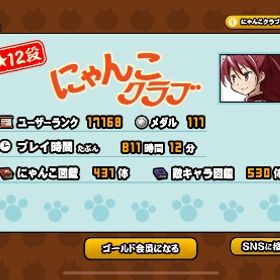 UR17168 超強垢 | にゃんこ大戦争のアカウントデータ、RMTの販売・買取一覧