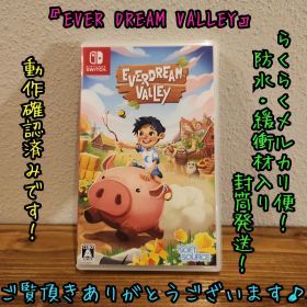 Nintendo Switch EVERDREAM VALLEY