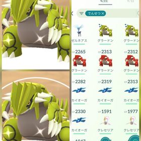 1786⭐️PTC⭐️色違いグラードン2匹 | ポケモンGOのアカウントデータ、RMTの販売・買取一覧