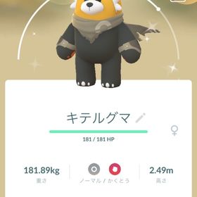 ミハウさん専用 | ポケモンGOのアカウントデータ、RMTの販売・買取一覧