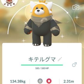 ✨色違いキテグルマ ワイルド長崎産 | ポケモンGOのアカウントデータ、RMTの販売・買取一覧