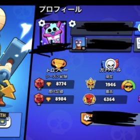 引退垢 気になることあれば質問お願いします。| ブロスタ(ブロウルスターズ)のアカウントデータ、RMTの販売・買取一覧