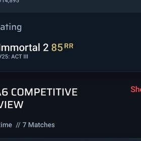 コンペ代行 | VALORANT(ヴァロラント)の代行、RMTの販売・買取一覧