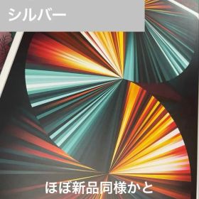 ⭐️iPad Pro 12.9 第五世代 Wi-Fi Cellular 128GB