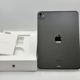 ジャンク品 iPad Pro 11インチ 第5世代 1TB AU版SIMフリー Nano-Textureガラス搭載 外観は新品同様