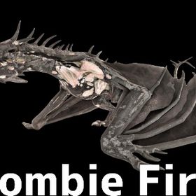 RARE SUPPORT ゾンビファイアワイバーン | ARK Survival Evolvedのアカウントデータ、RMTの販売・買取一覧