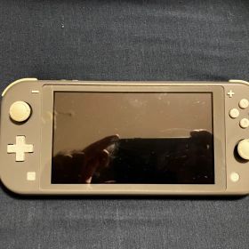 Nintendo Switch Lite グレー 本体