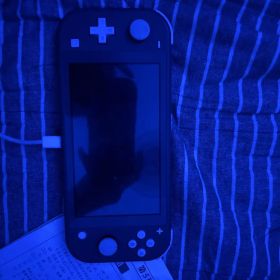 Nintendo Switch Lite グレー 本体