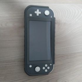 Nintendo Switch Lite グレー本体 ケース付き 動作確認済み