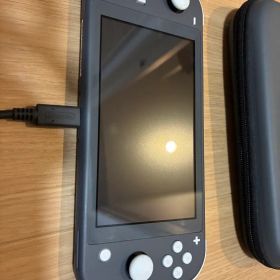 Nintendo Switch Lite グレー 本体とソフト付き