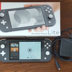 Nintendo Switch Lite グレー 本体 充電器付き