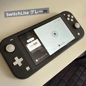 Nintendo Switch Lite 本体 グレー