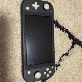 Nintendo Switch Lite グレー 本体