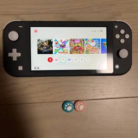 Switchライト グレー本体