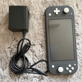 Nintendo Switch Lite グレー 充電器付き