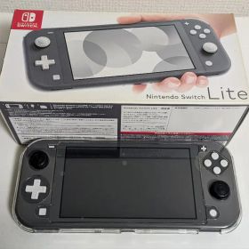 Nintendo Switch Lite グレー ケース付き