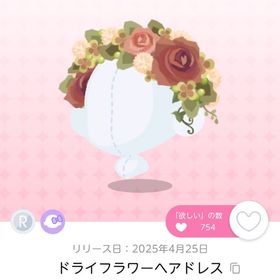 【12/9まで】ドライフラワーヘアドレス 1点 | ポケコロツイン(ポケツイ)のアカウントデータ、RMTの販売・買取一覧