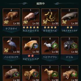 ビースト 領主Lv.25 鯖201〜220 完全にロック解除された3 T9 | ザ・アンツ(アリ)のアカウントデータ、RMTの販売・買取一覧