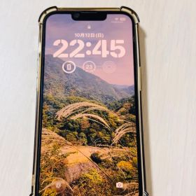 Iphone 13 pro シエラブルー 256GB