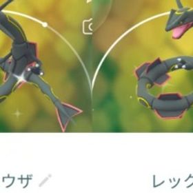 9121【PTC】在庫処分！レックウザ14匹 内色違い2匹 いんせき1あり！ | ポケモンGOのアカウントデータ、RMTの販売・買取一覧