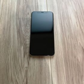 Apple iPhone 11 Pro シルバー 本体とアダプタ 64GB