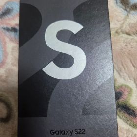 Samsung Galaxy S22 本体