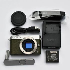 パナソニック ミラーレス一眼カメラ グリーン DMC-GM5-G