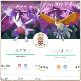(アカウント-非対面トレード)海外•国産✨色違い ワイルドアレア2025背景 | ポケモンGOのアカウントデータ、RMTの販売・買取一覧