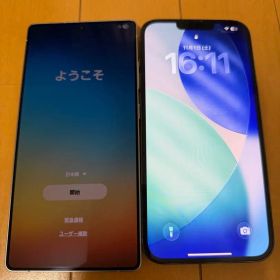 Galaxy S25 Ultra & iPhone 13 Pro Max