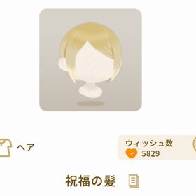 祝福の髪 | リヴリーアイランドのアイテム、RMTの販売・買取一覧