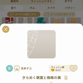 リヴリーアイランド きらめく朝露と蜘蛛の巣 ￥250 | リヴリーアイランドのアイテム、RMTの販売・買取一覧