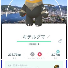 【長崎背景付き】色違いコス キテルグマ XL‼️ <非対面トレード> | ポケモンGOのアカウントデータ、RMTの販売・買取一覧