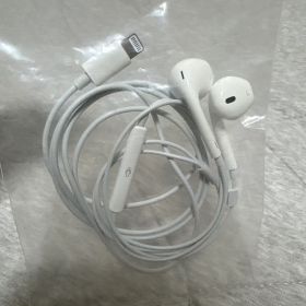 Apple EarPods with Lightning Connector
