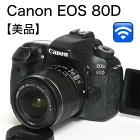 美品★Wi-Fi機能でスマホへ★Canon EOS 80D レンズセット