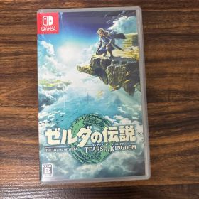 ゼルダの伝説 ティアーズ オブ ザ キングダム